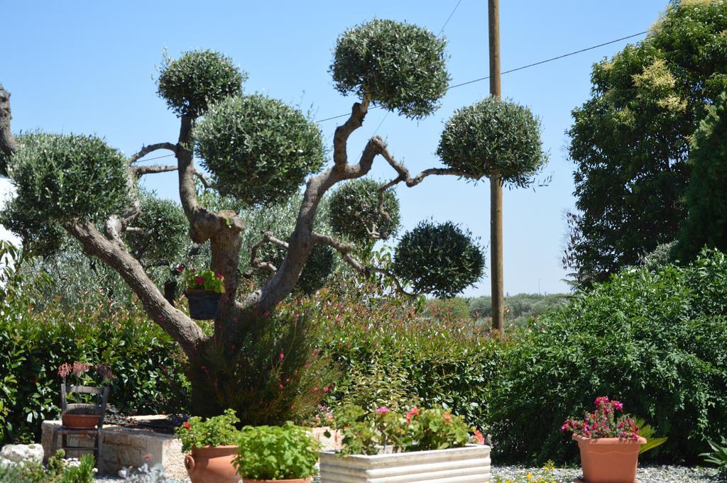 Casa Delle Rondini Bed and Breakfast Alberobello Eksteriør billede