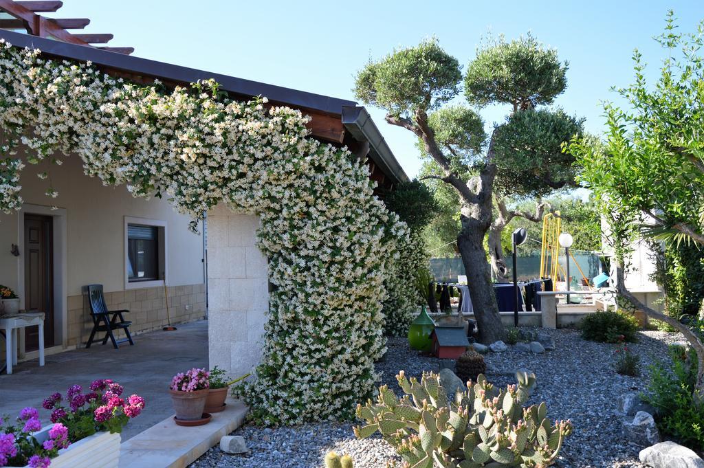 Casa Delle Rondini Bed and Breakfast Alberobello Eksteriør billede